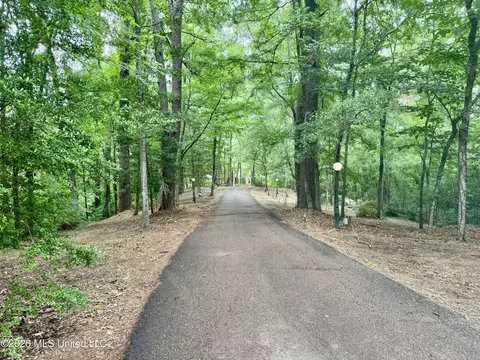 Other - 49 Stirling Rd, Natchez, MS 39120 photo 2 of 27