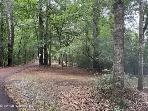 Exterior - 49 Stirling Rd, Natchez, MS 39120 photo 5 of 17