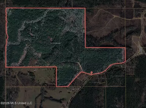 0 S Co Rd 119, Raleigh, MS 39153