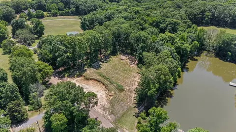6851 Alphaba Rd, Coldwater, MS 38618 photo 4