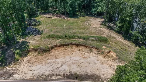 6851 Alphaba Rd, Coldwater, MS 38618 photo 8