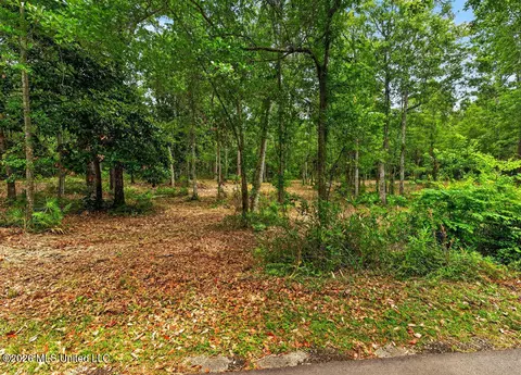 0 Eagle Point Rd, Ocean Springs, MS 39564 photo 37