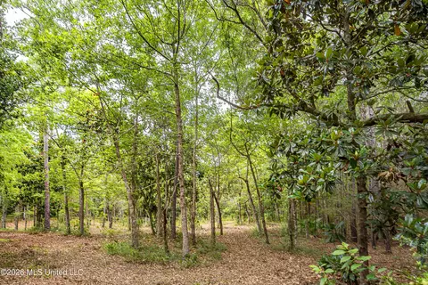 0 Eagle Point Rd, Ocean Springs, MS 39564 photo 3