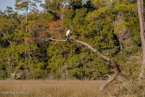 0 Eagle Point Rd, Ocean Springs, MS 39564 photo 34