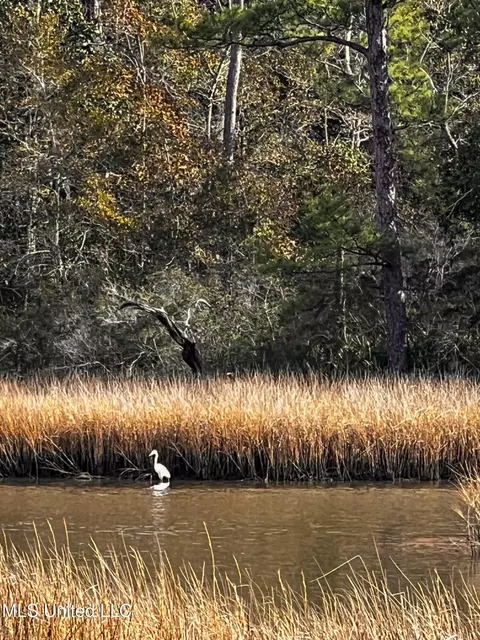0 Eagle Point Rd, Ocean Springs, MS 39564 photo 11