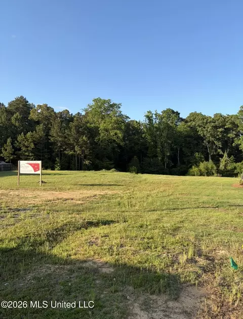 6599 Wirtz Rd, Flowood, MS 39232 photo 2