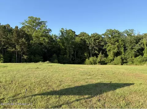 6599 Wirtz Rd, Flowood, MS 39232
