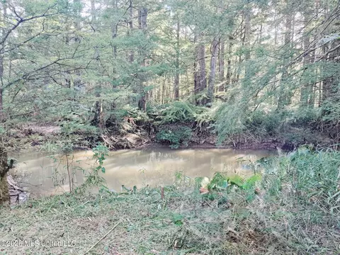 Miller Road, Olive Branch, MS 38654 photo 3