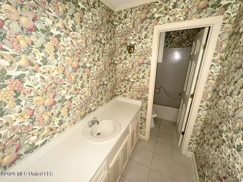 Bath - 566 S Deerfield Dr, Canton, MS 39046 photo 3 of 4