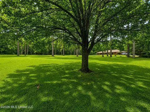 Exterior - 932 White Rd, Florence, MS 39073 photo 6 of 11