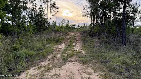 California Rd, Brookhaven, MS 39601 photo 11