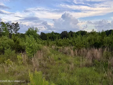 California Rd, Brookhaven, MS 39601 photo 6