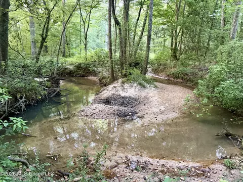 California Rd, Brookhaven, MS 39601 photo 3