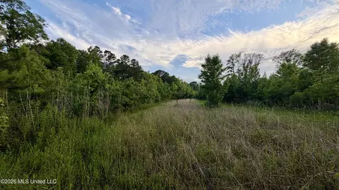 California Rd, Brookhaven, MS 39601 photo 12
