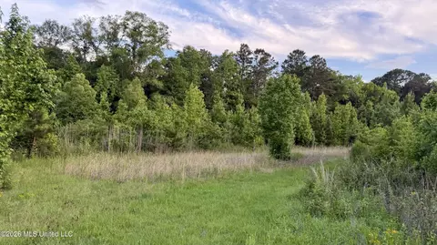 California Rd, Brookhaven, MS 39601 photo 2