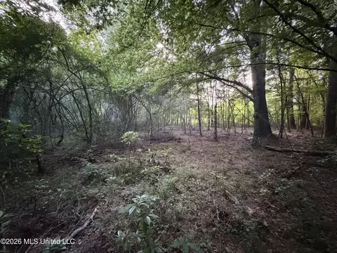 California Rd, Brookhaven, MS 39601 photo 5