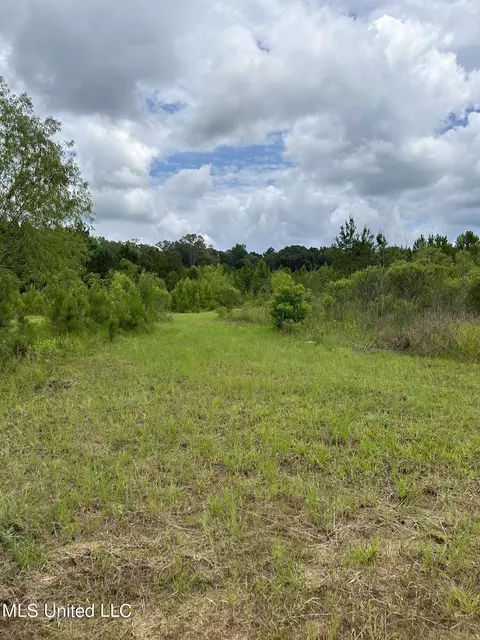 White Road, Florence, MS 39073 photo 11