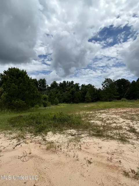 White Road, Florence, MS 39073 photo 2