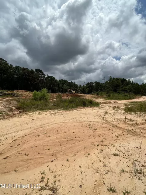 White Road, Florence, MS 39073 photo 8