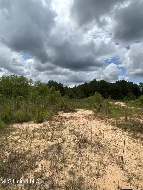 White Road, Florence, MS 39073 photo 7