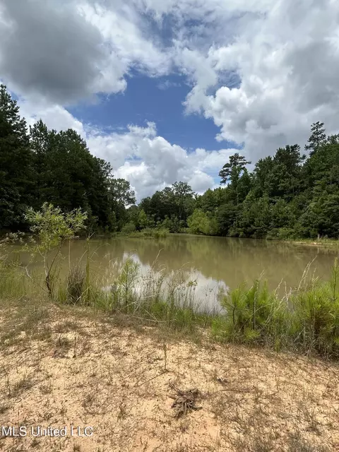White Road, Florence, MS 39073 photo 13