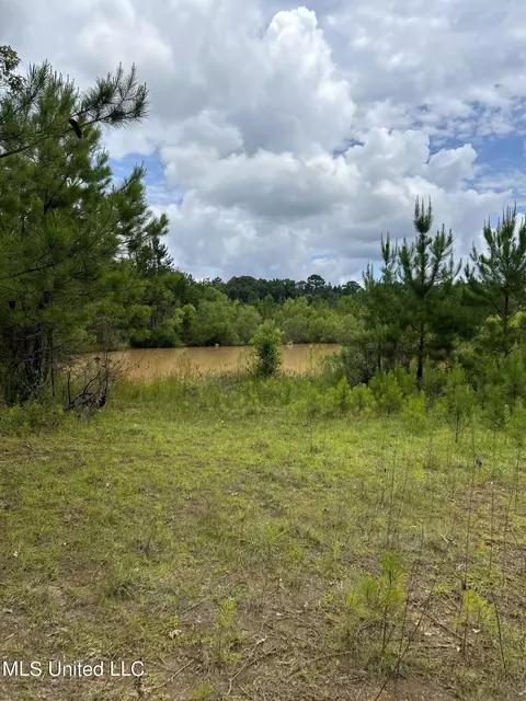 White Road, Florence, MS 39073 photo 10