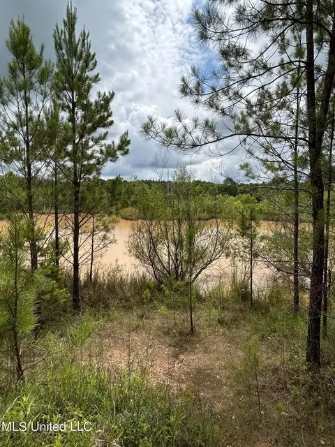 White Road, Florence, MS 39073 photo 4