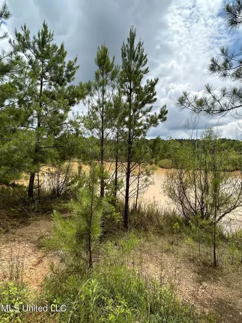White Road, Florence, MS 39073 photo 3