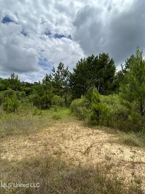 White Road, Florence, MS 39073 photo 5