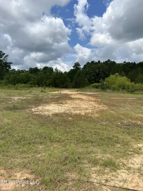 White Road, Florence, MS 39073 photo 12