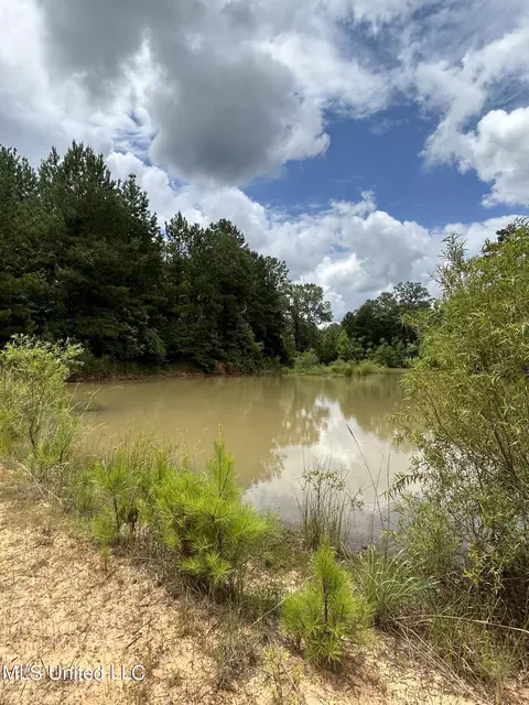 White Road, Florence, MS 39073 photo 6