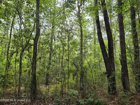 Harry Sones Road, Carriere, MS 39426