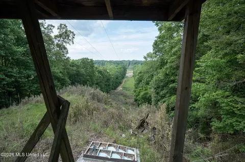 U.s. 49, Bentonia, MS 39040 photo 16