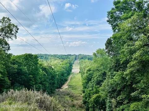 U.s. 49, Bentonia, MS 39040 photo 3