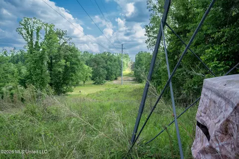 U.s. 49, Bentonia, MS 39040 photo 5