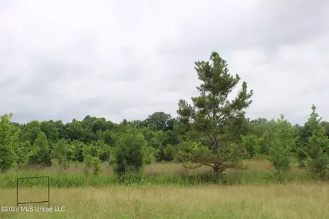 8 Eason Farm Rd, Byhalia, MS 38611 photo 16