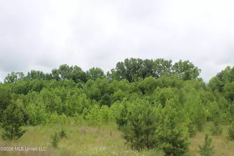 8 Eason Farm Rd, Byhalia, MS 38611 photo 14