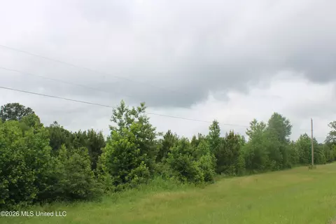 8 Eason Farm Rd, Byhalia, MS 38611 photo 10