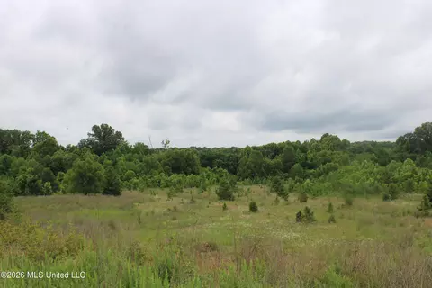 8 Eason Farm Rd, Byhalia, MS 38611 photo 20