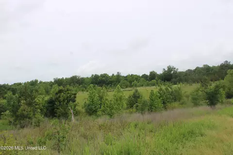 8 Eason Farm Rd, Byhalia, MS 38611 photo 21