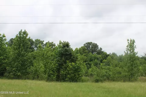 8 Eason Farm Rd, Byhalia, MS 38611 photo 13