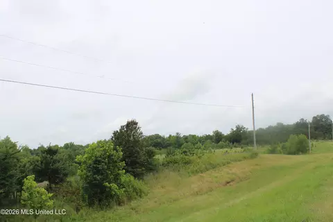 8 Eason Farm Rd, Byhalia, MS 38611 photo 18