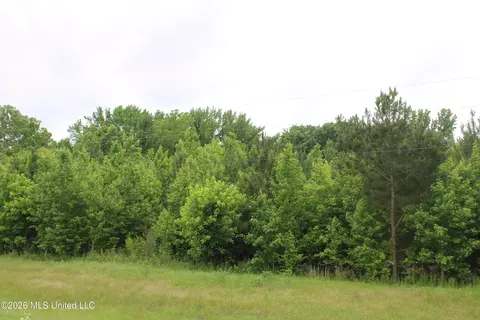 8 Eason Farm Rd, Byhalia, MS 38611 photo 8
