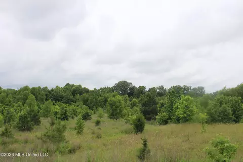 8 Eason Farm Rd, Byhalia, MS 38611 photo 17
