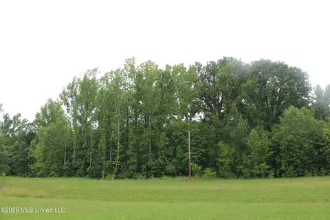 8 Eason Farm Rd, Byhalia, MS 38611 photo 4