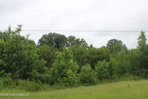 8 Eason Farm Rd, Byhalia, MS 38611 photo 11