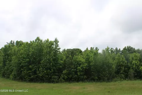 8 Eason Farm Rd, Byhalia, MS 38611 photo 5