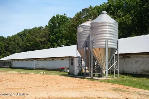 Smithtown Chicora Road, State Line, MS 39362 photo 17