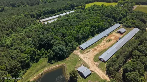 Smithtown Chicora Road, State Line, MS 39362 photo 5