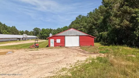 Smithtown Chicora Road, State Line, MS 39362 photo 8